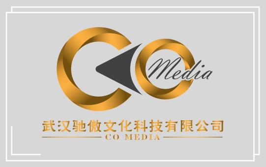 武汉驰傲文化科技有限公司